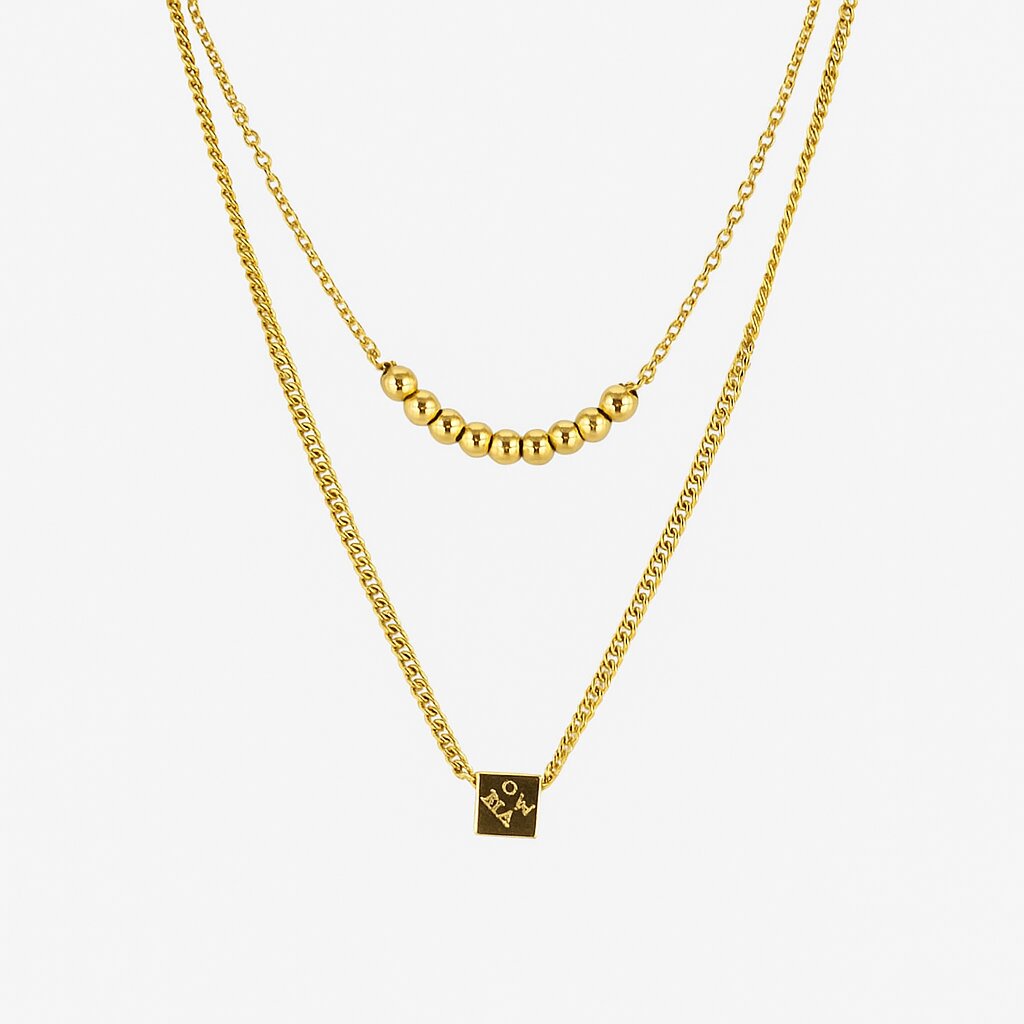 Double Layered Necklace - N010